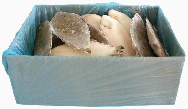 Seezunge gereinigt Portionsgrösse 400-500g 10kg Karton